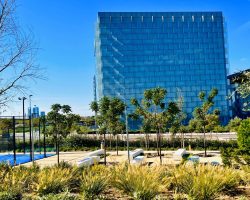 Paisajismo corporativo Madrid