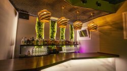 Decoración vegetal pubs y discotecas