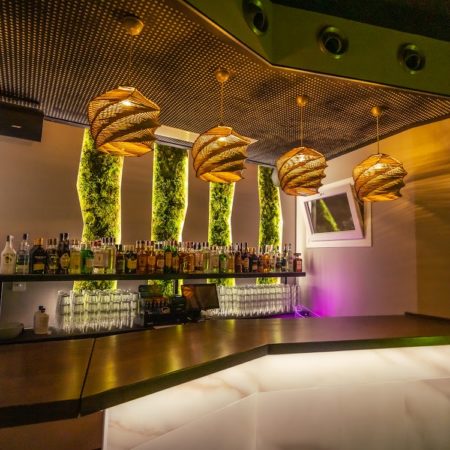 Decoración vegetal pubs y discotecas