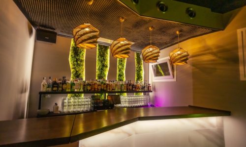 Decoración vegetal pubs y discotecas