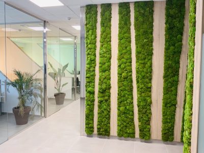 Jardin vertical preservado